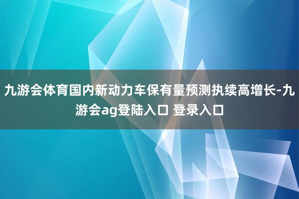 九游会体育国内新动力车保有量预测执续高增长-九游会ag登陆入口 登录入口